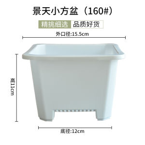Small Black Square Korean Style For Home Succulent Seedling Cutting Square Basin Large White Square Plastic Jingtian Flower Pot Planting Pot