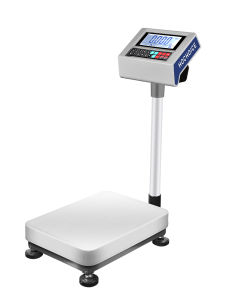 HC | Precision 1g Commercial Counting Scale 300kg