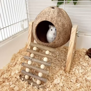 🇸🇬 Wooden Hamster Ladder Platform: Small Pet Climbing Playground