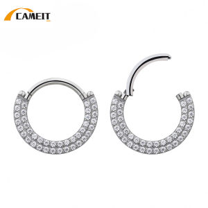 G23 Titanium Ear Cartilage Earring Earlobe Piercing Two Rows CZ Zircon Paved Nose Rings Hoops Labret Lip Clicke Ring Jewellery
