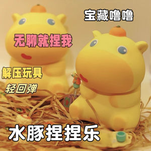 ของเล่นปลดปล่อยความเครียดสำหรับเด็กผู้หญิง หมูป่า Water Hog ตุ๊กตา ของตกแต่ง ของเล่นที่กลับมาช้า ของเล่นที่สร้างสรรค์