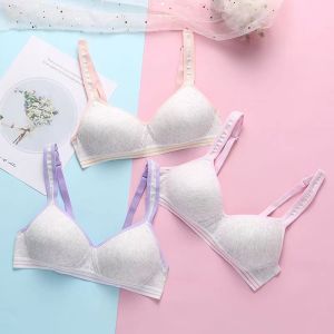 (Stage 3) Teenager Bra Non Wire Bra Girls Bra Students Bra Kids Bra Thin Sponge Bra