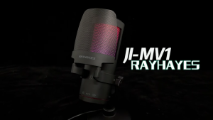 RAYHAYES USB Gaming Microphone with RGB Lighting Noise Canceling for Live Streaming PC Recording