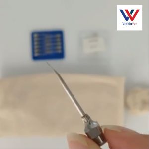 EliteVet 1 Dozen Gauge 20 x 0.5 inch Stainless steel needle for pig veterinary needle stainless syringe needle stainless