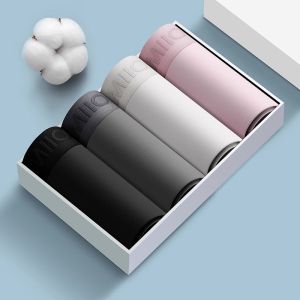 MiiOW | Quần lót nam Catman bằng cotton thoáng khí thấm hút mồ hôi thể thao cạp vừa quần đùi nam mùa hè 2025 quần lót nam chất liệu cotton