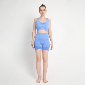 Womens Seamless High-Waist Yoga Sets Hip Lift Leggings 2-Piece Workout Suit for Fitness And Exercise Free Shipping