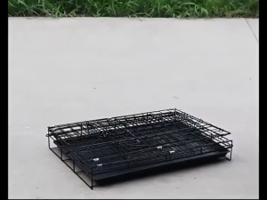 Cat Cage Foldable Home Pet Cat Dog Rabbit Cage Spacious Sturdy with Poop Heavy Duty Pet Cages