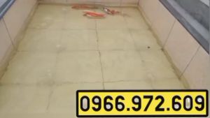 Máy con sò 250/750/1100w nội địa trungsủi khí đáy ao tôm cáhút chân khôngbảo hành 12 tháng