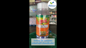 ยูเร่ (ไดฟีโนโคนาโซล+ไพรพิโคนาโซล 15%+15% W/V EC) ขนาด 500cc