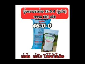 ปุ๋ยตรากระต่าย 46-0-0 (ยูเรีย)  ขนาด 600 กรัม แบ่งขาย   เร่งการเจริญเติบโต เร่งต้น เร่งใบ ช่วยให้ต้นไม้เขียว