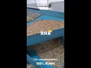 KEMIRI | KEMIRI PECAH | KEMIRI PECAH KUALITAS SUPER