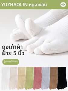 ถุงเท้าผ้าฝ้ายบางระบายอากาศได้ดีสำหรับผู้หญิงในฤดูร้อน ถุงเท้าหัวนิ้วมือ ระบายอากาศได้ดี ดูดซับเหงื่อ ถุงเท้าสั้นฤดูใบไม้ผลิและฤดูใบไม้ร่วง ถุงเท้าสั้น