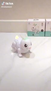 Mainan Rabbit Light & Sound Terbaru Cute And Interesting Shape With Beautiful Music M99777 1 | Mainan Edukasi Kelinci Robot Bisa Berjalan Dan Melompat Fungsional Yang Keren Di Lengkapi Fitur Musik Dan Lampu Penuh Warna| Set Hadiah Anak Cowok Cewek