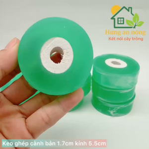 Băng keo trong bản 1.7cm ghép cành tự dính chất liệu nhựa PE