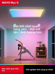 NIOYE | Natural Blue Sky Ceiling Light
