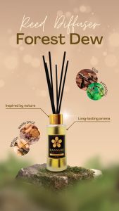 Hanmari Reed Diffuser Pewangi Pengharum Ruangan Kamar Toilet Aromaterapi - FOREST DEW