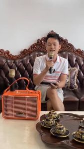 Loa Bluetooth Karaoke BOOMS BASS M4201+ Sang Trọng Công Suất Lớn Kèm 2 Micro Sử Dụng Được Đến 8H