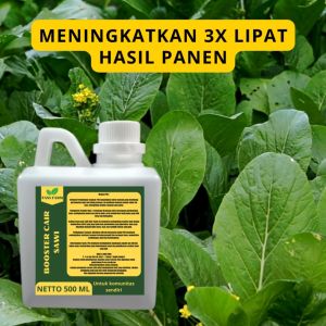 Pupuk Pelebat Sawi & Pupuk Sayur Sawi: Pilihan Terbaik untuk Tanaman Sayuran