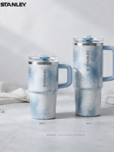 STANLEY | Insulated Leakproof Portable Straw Cup