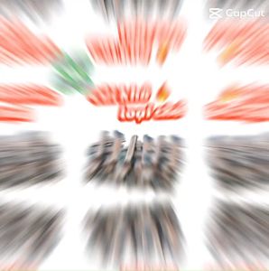 COMBO 10KG CỦI KHÔ LOẠI CHẺ ĐA NĂNG