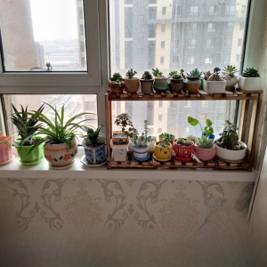 Solid Wood Flower Stand Multi-Layer Wooden Shelf Window Sill Succulent Plant Balcony Desk Flower Shelf Wooden Shelf