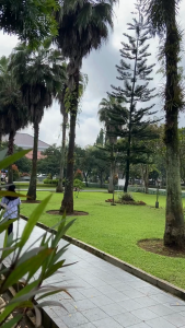 Cardina Health Squalene Solusi Herbal Kolesterol Tinggi Stabilkan Tekanan Darah Leher Kaku Lemak Jahat Lancarkan Sirkulasi Isi 30 Softgel