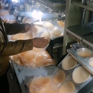 12pcs with Box Silicone Nipple Cover Reusable Women Breast Petals Lift Invisible Bra Pasties Adhesive Bra Pads Sticker Patch Nipple Silicon Pad Waterproof Nipple Tape Washable Bra Pad Adhesive Silicone Cup Bra