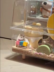 Hamster Toys Hamster Fun Rubiks Cube﻿ Little Pet Relieves Boredom Grinds Teeth Tool Wooden Material Golden Bear Guinea Pig Toy Hamster Supplies