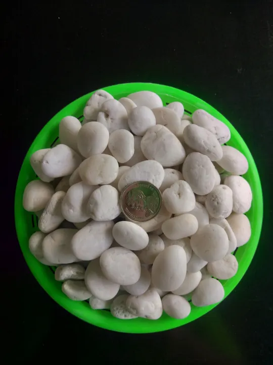 หินแม่น้ำสีขาว หินกรวด เบอร์ 1 ขนาด 1 กก. สำหรับตกแต่งสวนและงานอินดอร์