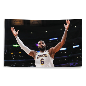 Lebron James Tapestry  College Dorm Tapestry Wall Hanging Funny Tapestry Bedroom Tapestry Bedside Tapestry Living Room Tapestry