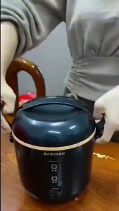 [Ready Stcok]Mini Rice Cooker Electirc Lunch Box Rice Cooker With StainlessSteelPot Non Stick With Steamer Multi Function Rice Cooker