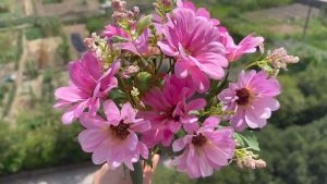 Small Daisy Artificial Bouquet Idyllic Fresh Dutch Chrysanthemum Fake Flower Nordic INS Artificial Flower