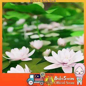 BIBISWIM Baby Bath Toys Fidget Spinner Spinning Spin Wall Suction Whistle Shower Toy Mainan Baby