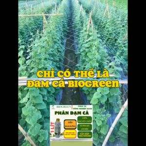 Phân bón hữu cơ đạm cá nguyên chất 100% BIOGREEN 500ml bật chồi xanh lá cải tạo đất ra hoa nhiều cung cấp dinh dưỡng cho sen đá cây cảnh lá hoa lan dâu tây rau sạch sân vườn