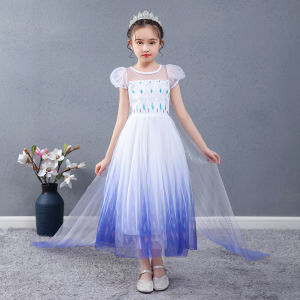 Elsa Costume Princess Dress