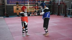 9-IN-1 Taekwondo Karate Set Practice Competition Equipment Protection Suit For Children And Adults
