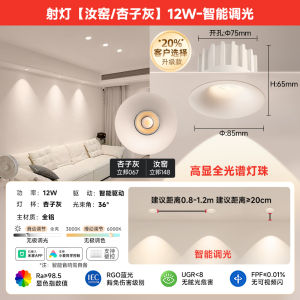 Cocoa Egg Milk Tube Lamp Embedded into Wall Latex Paint Same Color Anti-Glare Spring Rain Latex Paint Embedded Spot Light