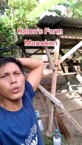 100M Chicken Net Range Net: A Comprehensive Guide