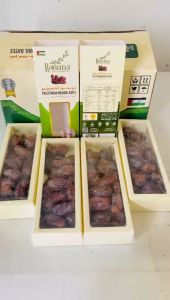 Kurma Medjool Premium 500gr: Manfaat & Cara Mengonsumsi
