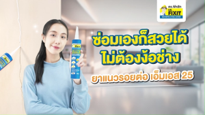 Dr.Fixit MS 25 Sealant ดร.ฟิคสิท เอ็มเอส 25 ซีลแลนท์ (ขนาด 300 มล.) – ยาแนวรอยต่อ