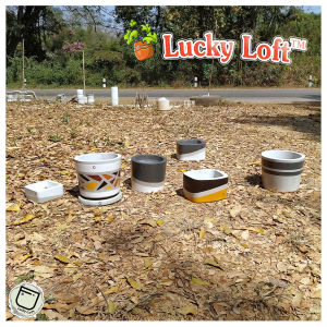 กระถางปูน 7x6 นิ้ว กระถางต้นไม้ กระบอก มินิมอล&ลอฟท์ Lucky Loft™ C76