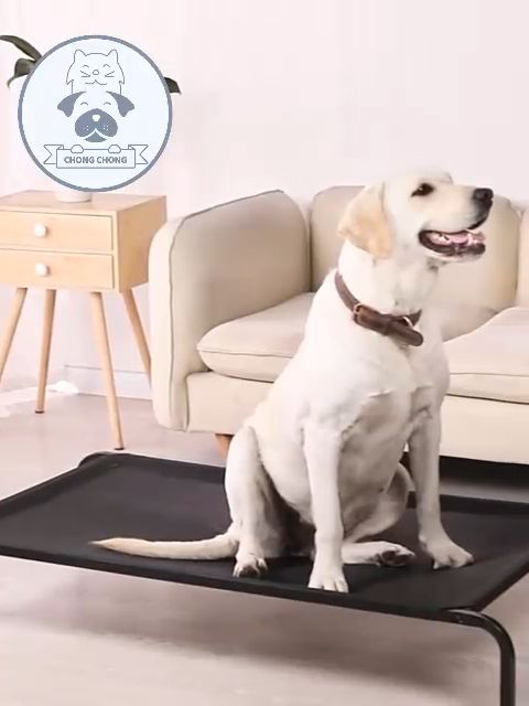 CHONG CHONG Durable Elevated Non Slip Outdoor Dog Bed Dog Cots beds for  Large Dogs XL, Waterproof Raised Dog Bed Easy to Assemble, Cooling Elevated 
