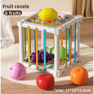 Early Education Baby Finger Dexterity Toy