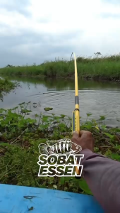 Sobat Essen Bunga Kenanga essen super premium Ukuran 30-60ML untuk semua jenis ikan essen pancing super gacor essen ikan mas paling gacor