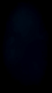 Bộ Quần Áo Bóng Đá Trẻ Em Bulbal Zenith Cao Cấp Chất Vải Bul-Wave Thoáng Mát