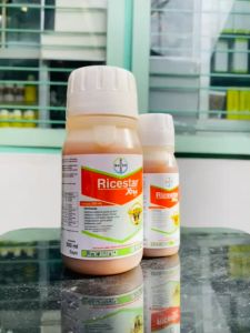 Herbisida RICESTAR XTRA 89OD: Solusi Efektif untuk Pertanian
