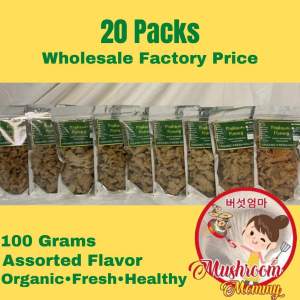 20 Packs Wholesale FACTORY PRICE • Mushroom Mommy • Crispy Mushroom Chicharon