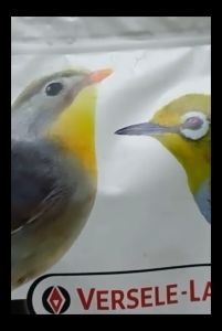 Nutri Bird Uni Komplet Pakan Burung Pleci Berkualitas 100gram