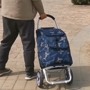 Foldable Shopping Trolley with Seat – Portable & Elderly-Friendly