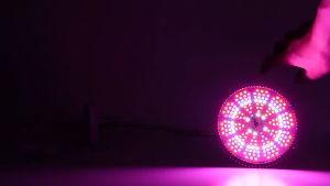 Đèn Led Trồng Cây 80W Chuôi E27 Chip Led SMD 5730 Tản Nhiệt Nhôm Quang Hợp Trong Nhà